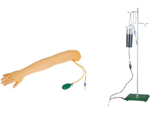 高級手臂動(dòng)脈穿刺及肌肉注射訓(xùn)練模型
