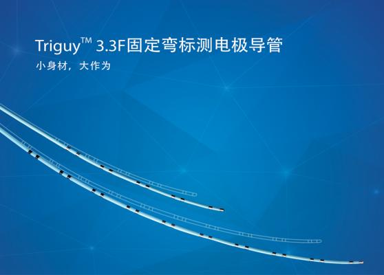 Triguy? 3.3F固定彎標(biāo)測(cè)導(dǎo)管