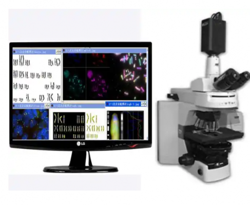 染色體核型分析軟件dinsight c迪英加